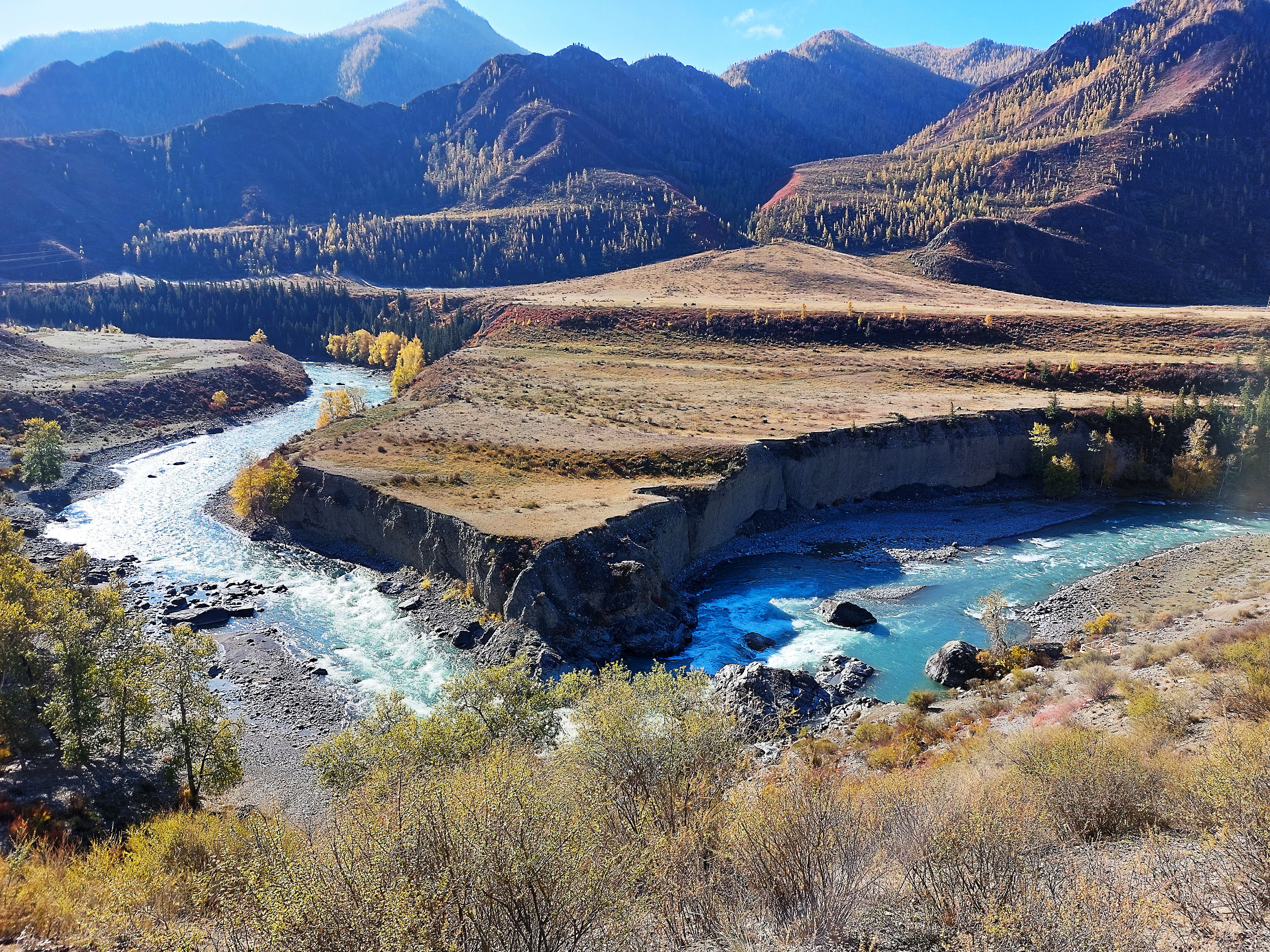 Цветение маральника. Автотур по Чуйскому тракту (27/28)