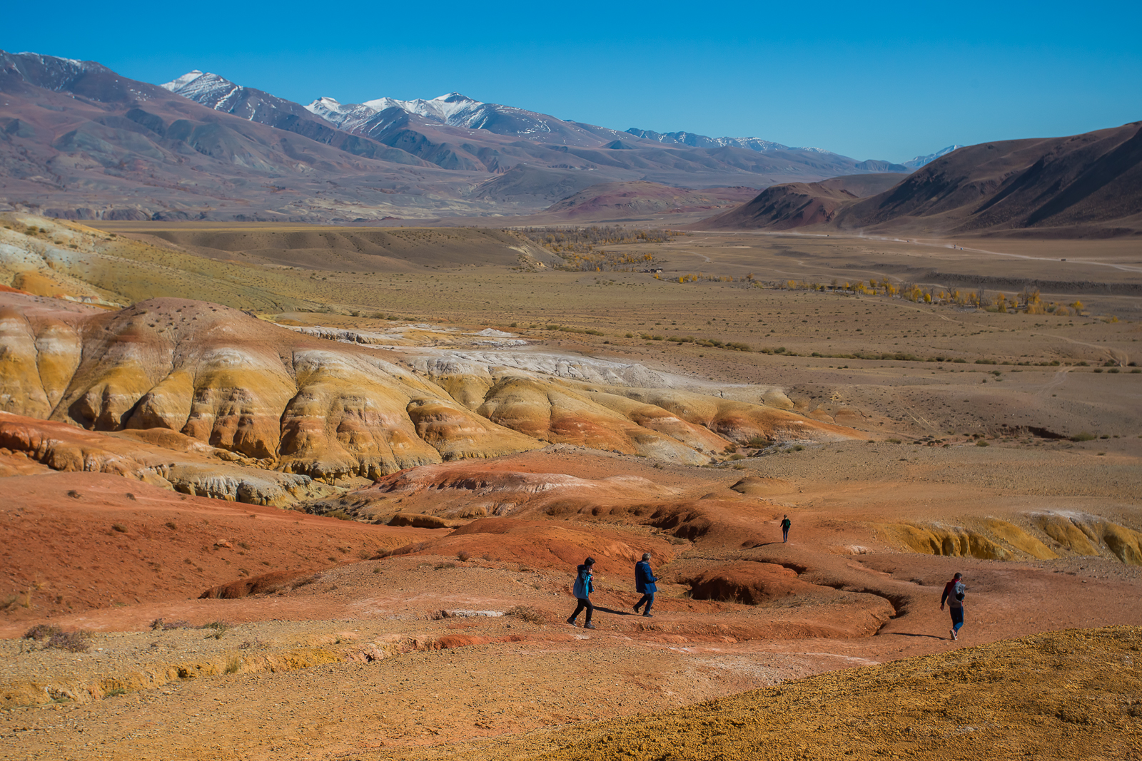 Точка встречи Осенний Алтай! (20/28)