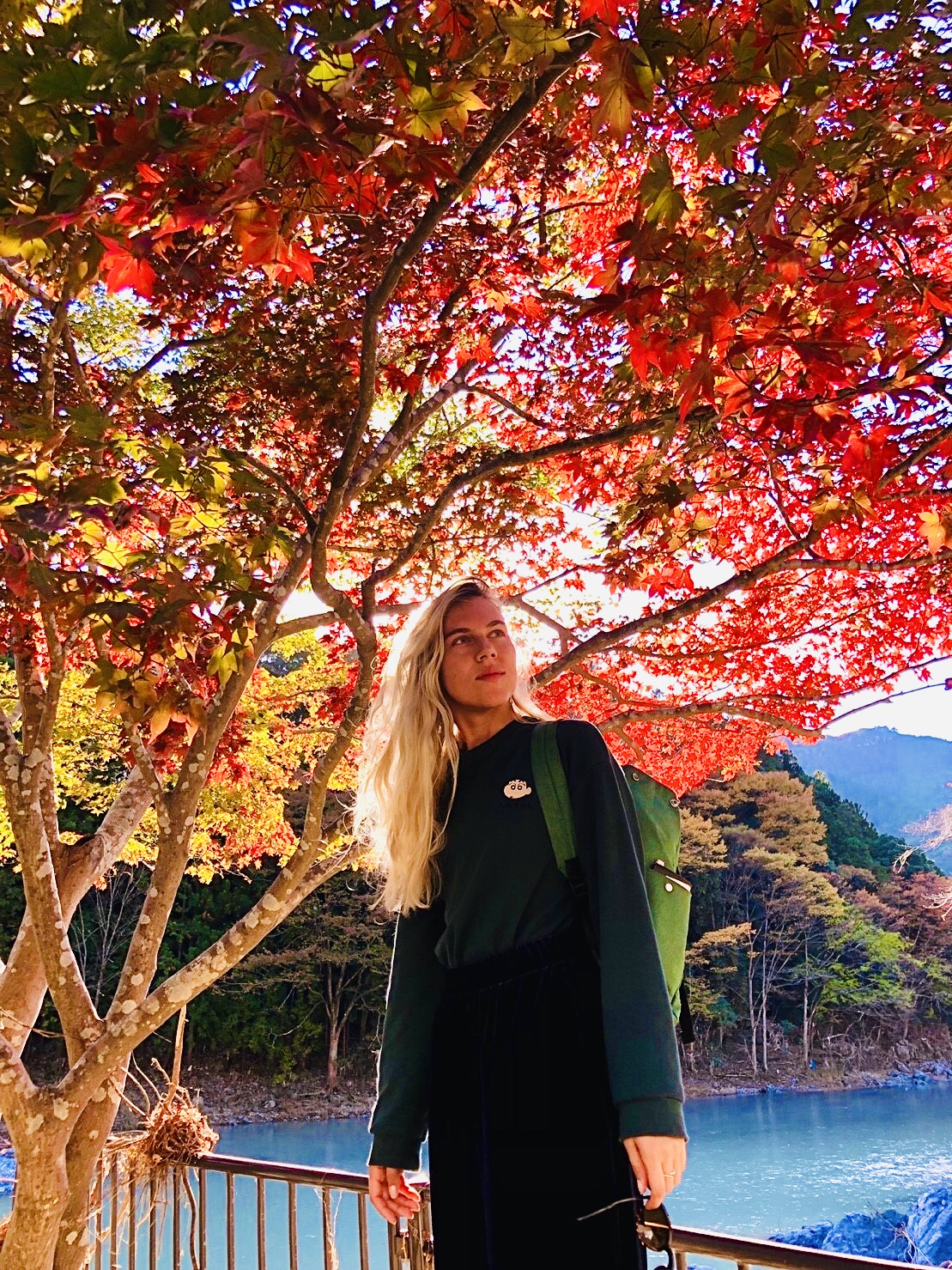 Япония в сезон красных клёнов момидзи. Большое путешествие по всей стране