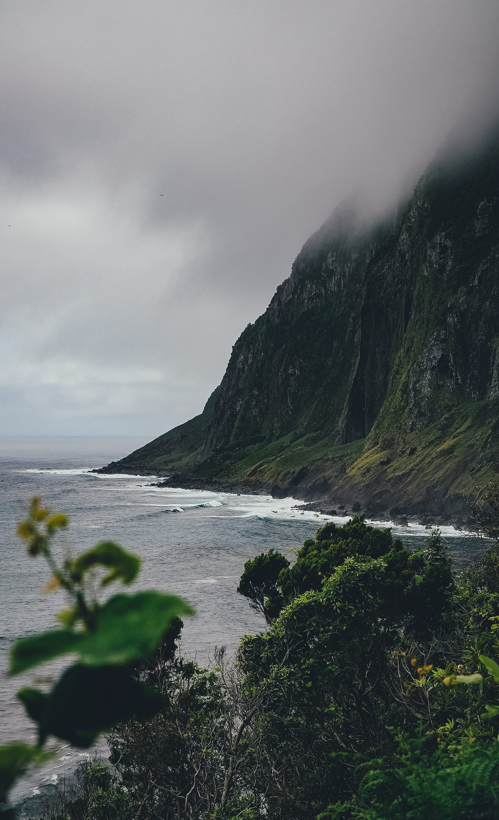 Затерянный мир: Азорские острова (49/55)