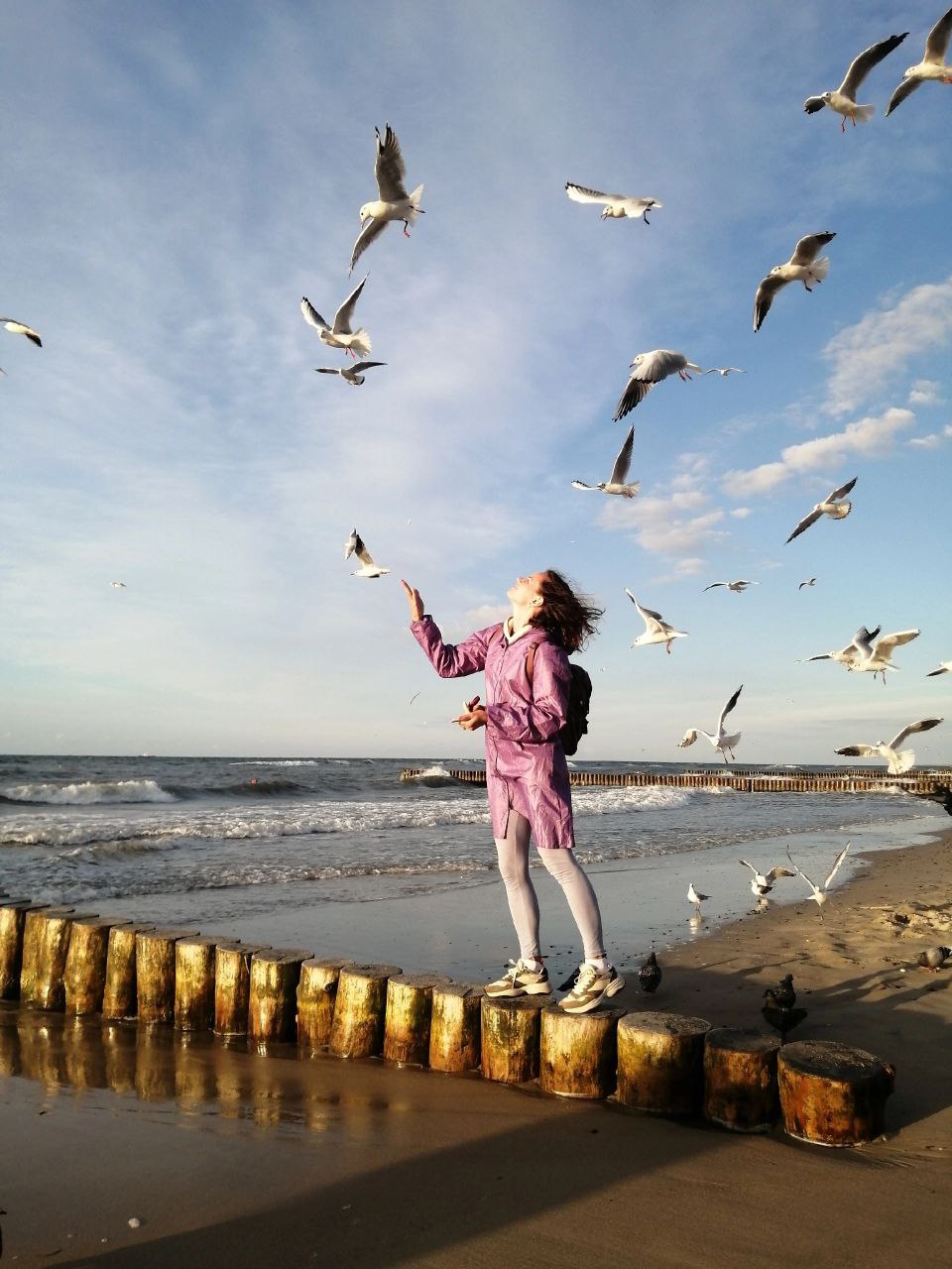 Цветущий Калининград (33/34)