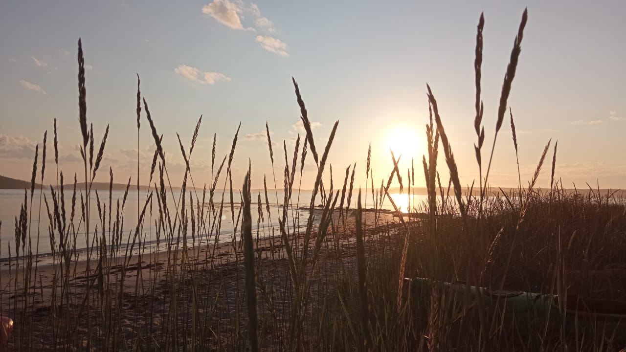 Сплав по реке Пистайоки (31/33)