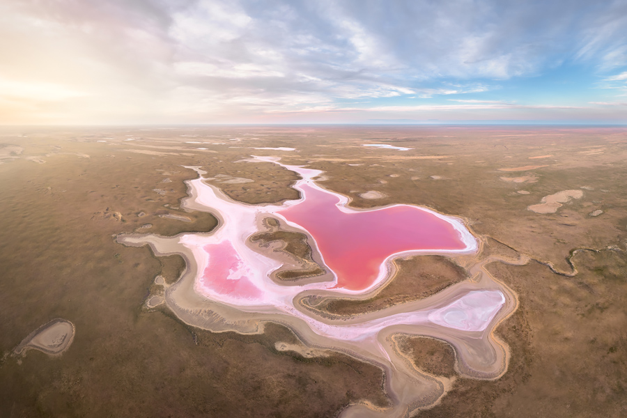 Путешествие в цветущую степь (22/26)