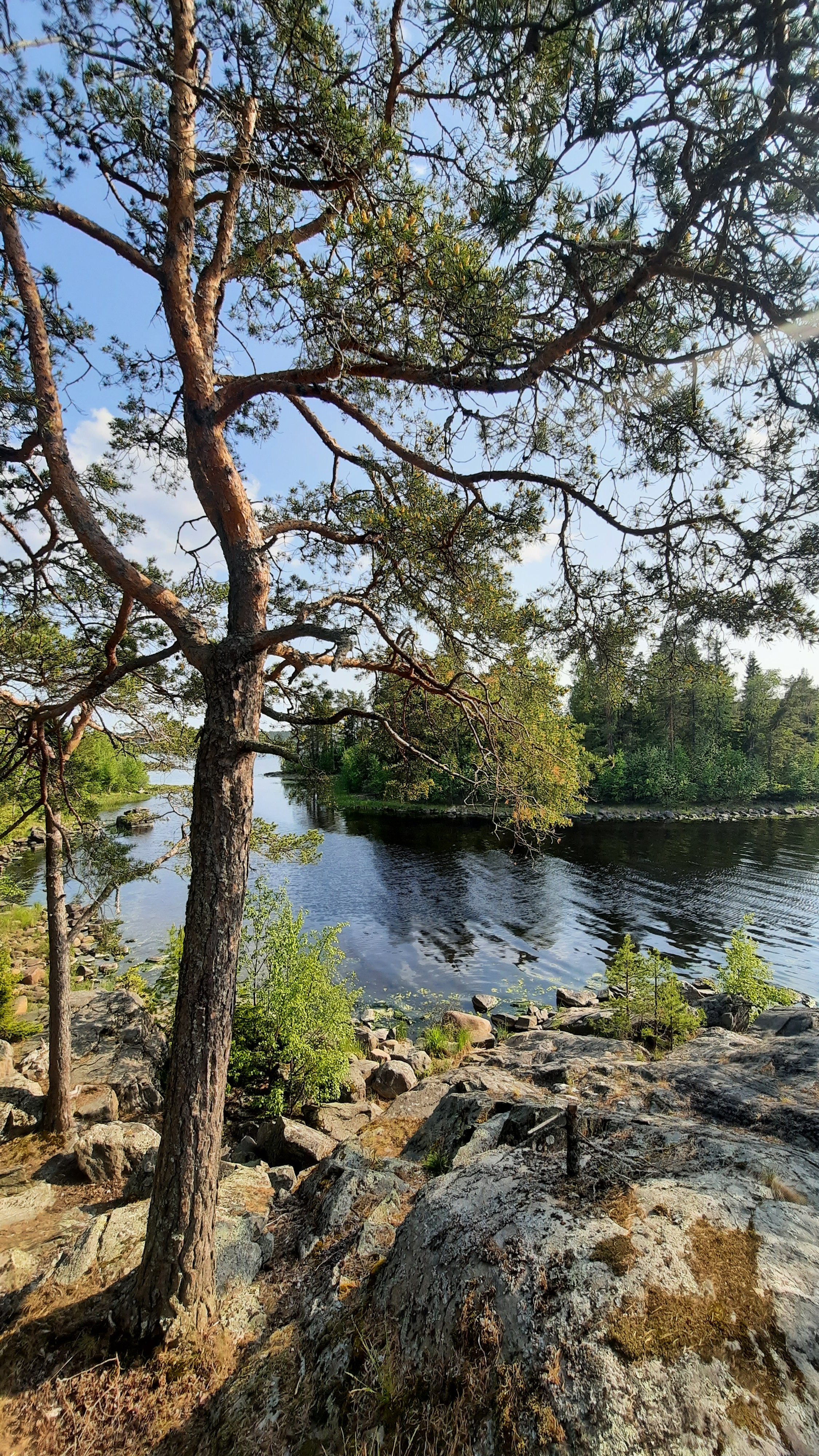 3 сокровища Карелии: Рускеала, Валаам, Юканкоски, Комфорт+ (40/48)