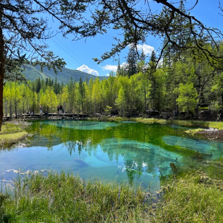 Доступный Алтай за 4 дня (комфорт, в мини-группе) (11/13)