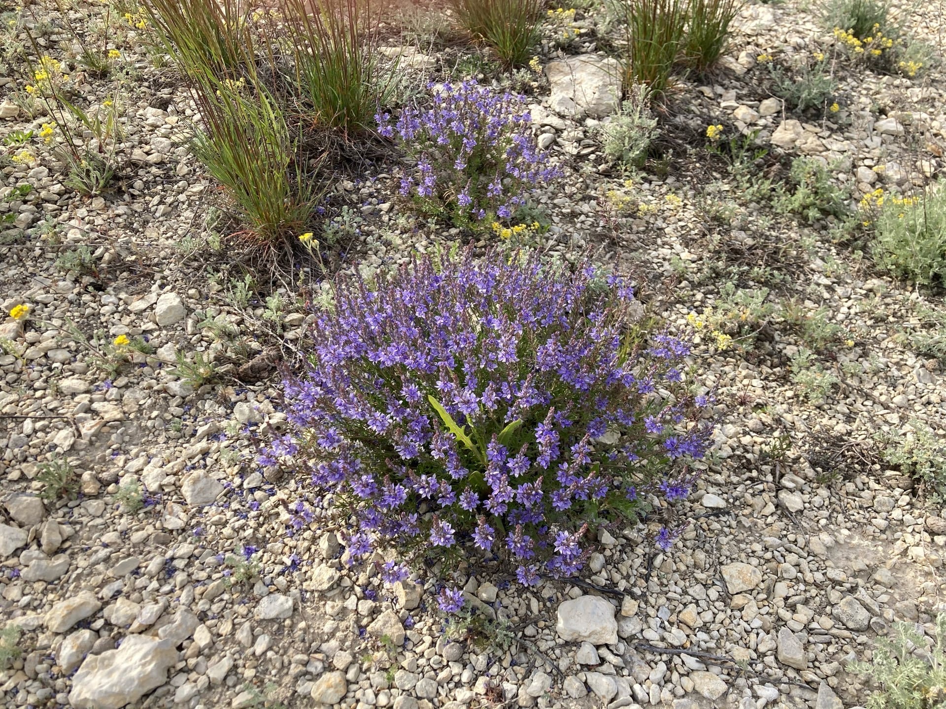 Тур в Волгоград и Нижнее Поволжье от Дона до озера Эльтон (мини-группа) - 8 дней (50/55)