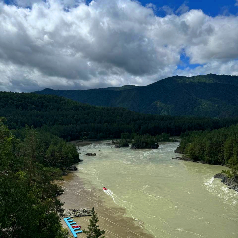 Цветение Маральника (10/17)