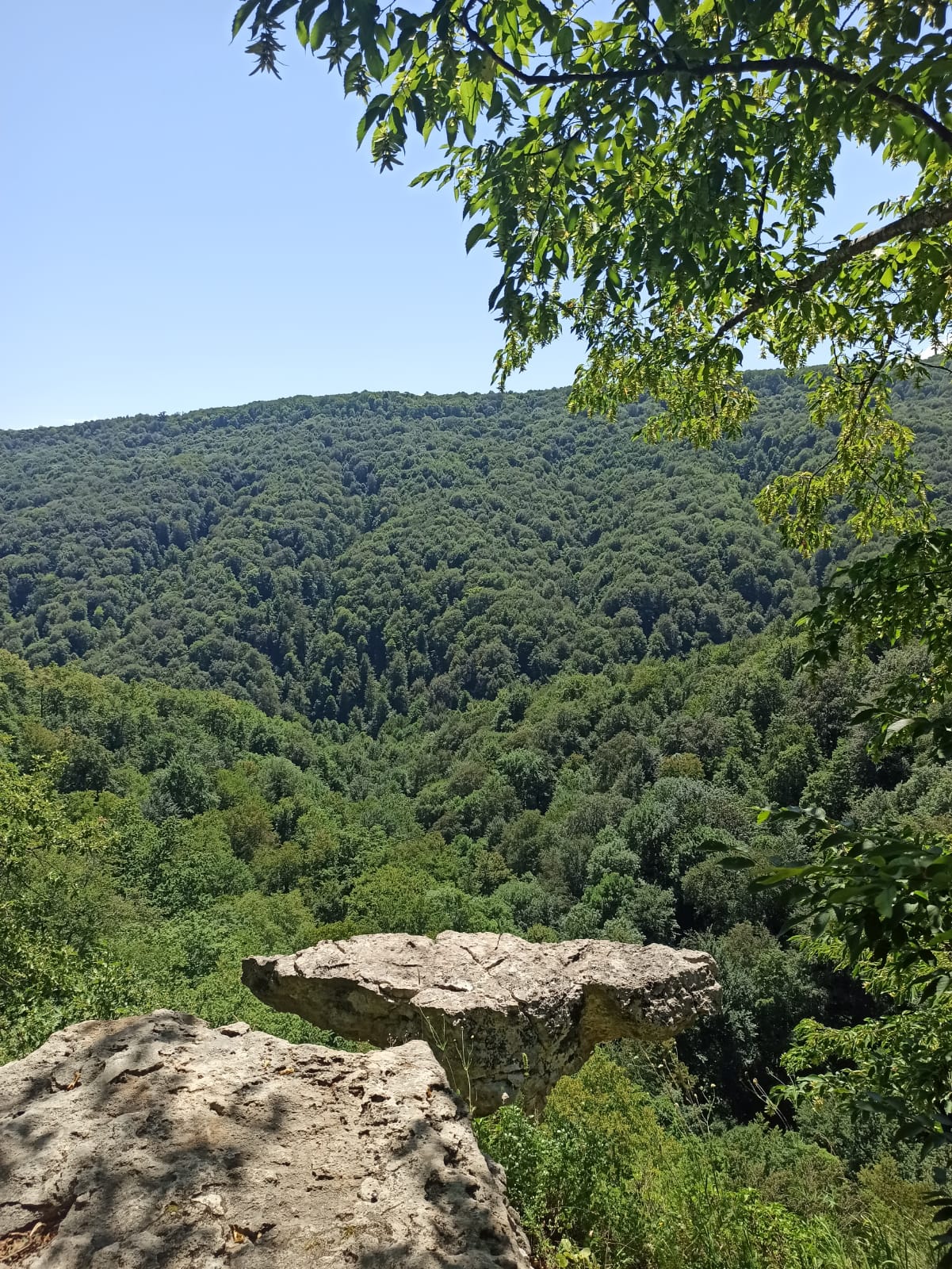 Семейная Адыгея: основы туризма (комфорт) (6/22)