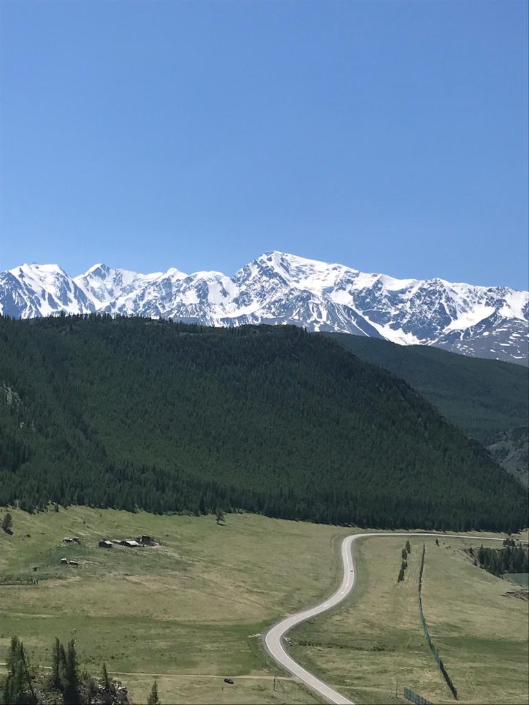 Алтай заповедный (20/35)
