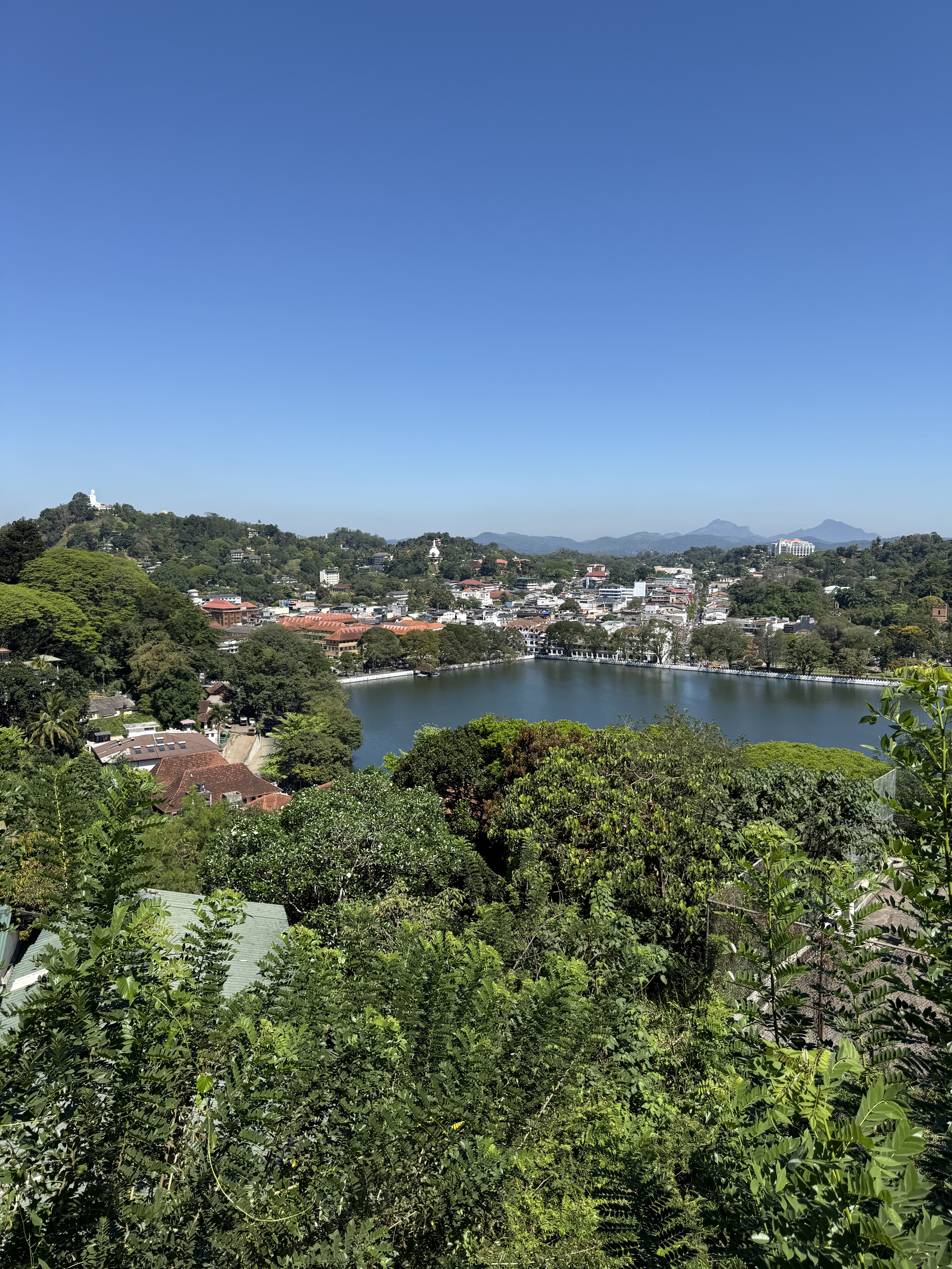 Шри-Ланка. Восточные пляжи, горы, чай, слоны и леопарды (26/45)