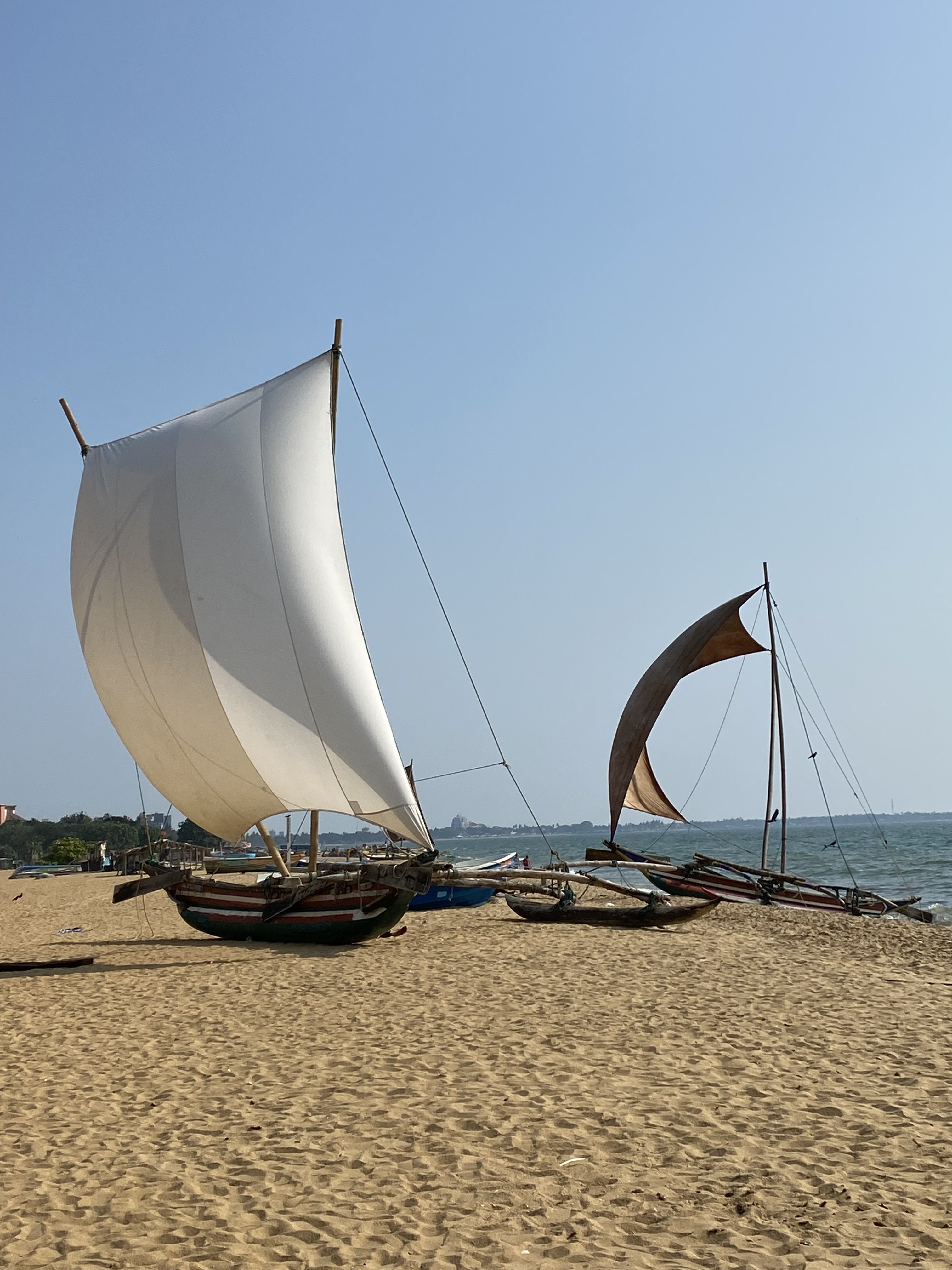 Шри-Ланка. Восточные пляжи, горы, чай, слоны и леопарды (22/45)