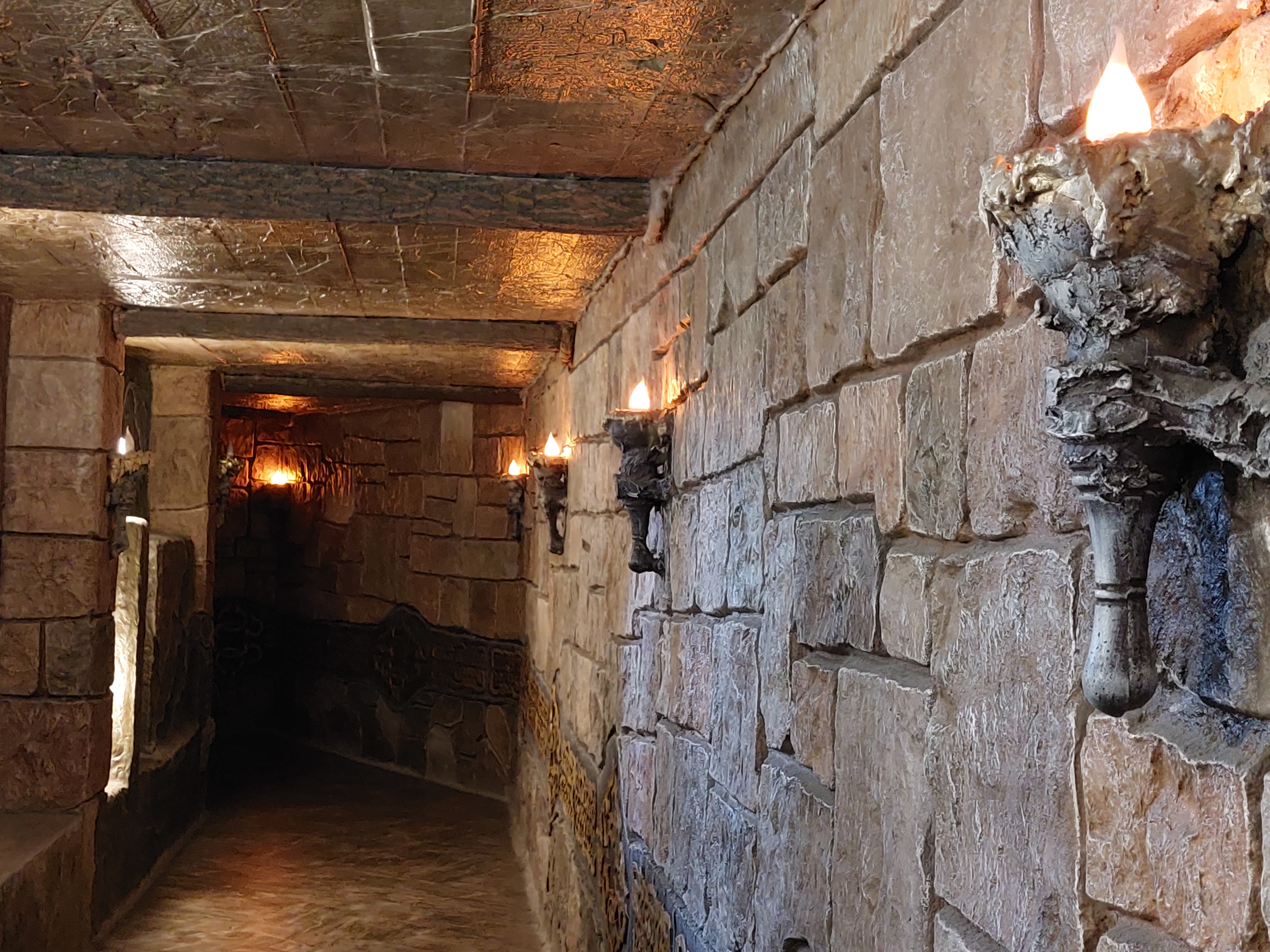 Цветение маральника. Автотур по Чуйскому тракту (17/28)