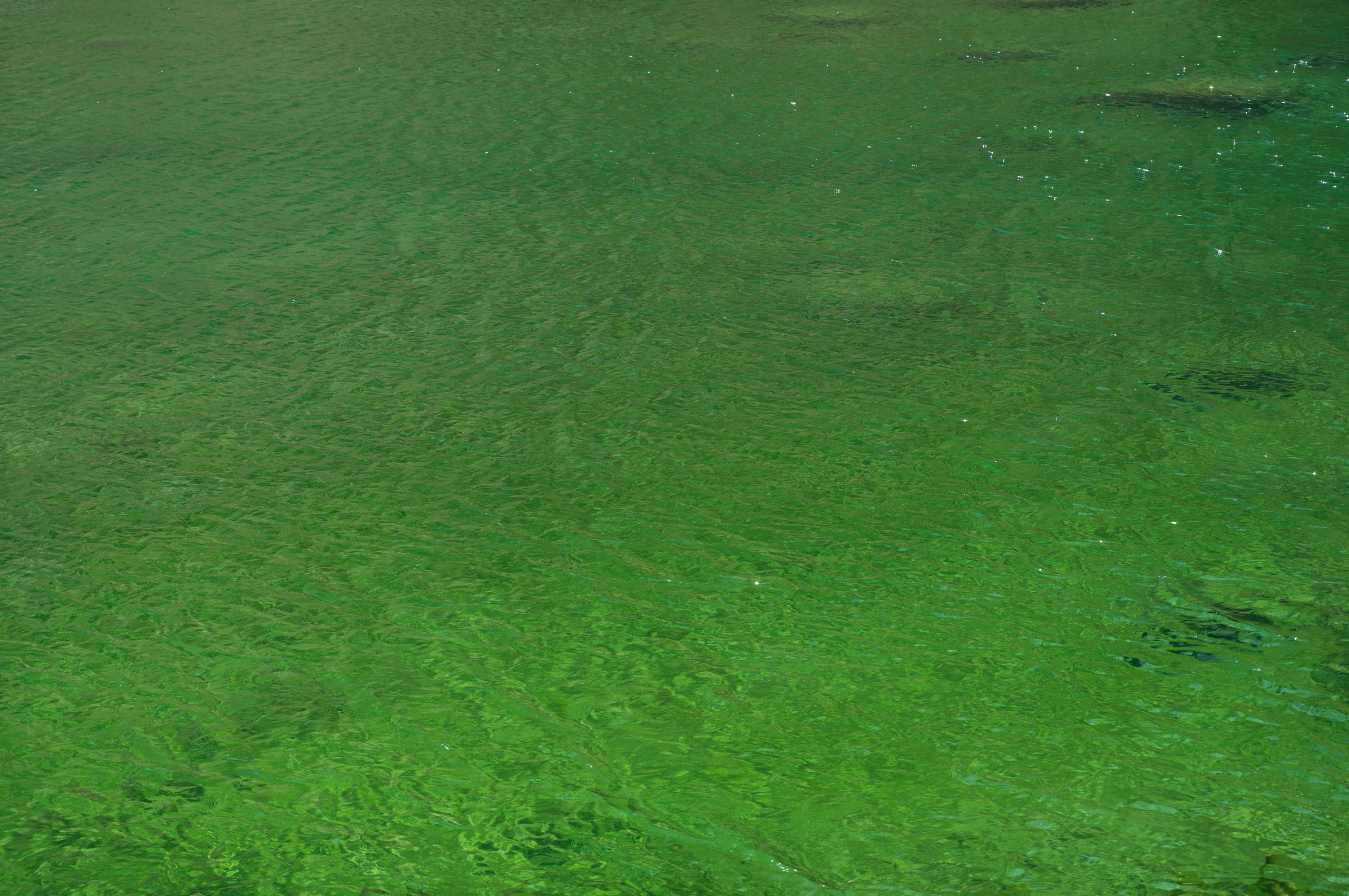 Фанские горы. Таджикистан (15/17)