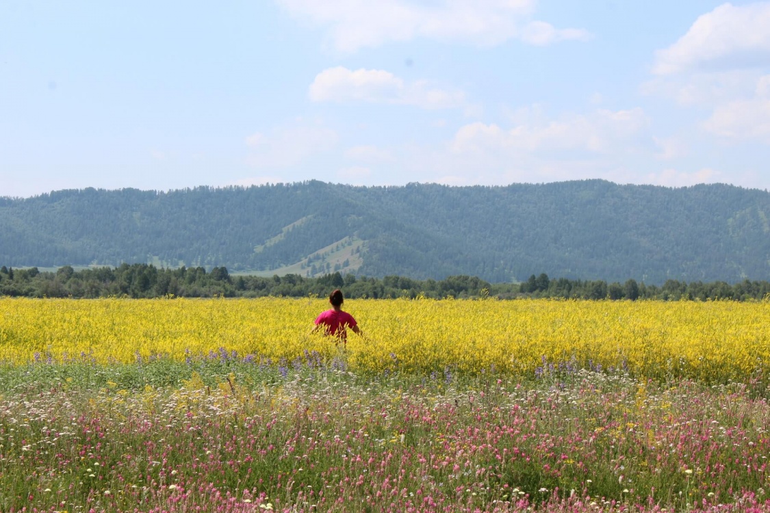Доступный Алтай за 4 дня (комфорт, в мини-группе) (12/13)