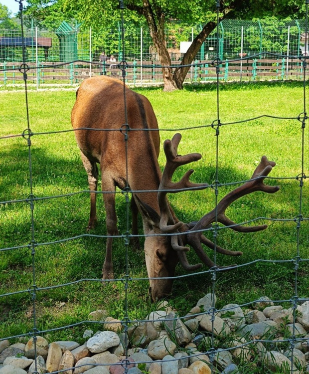 Семейная Адыгея: основы туризма (комфорт) (15/22)
