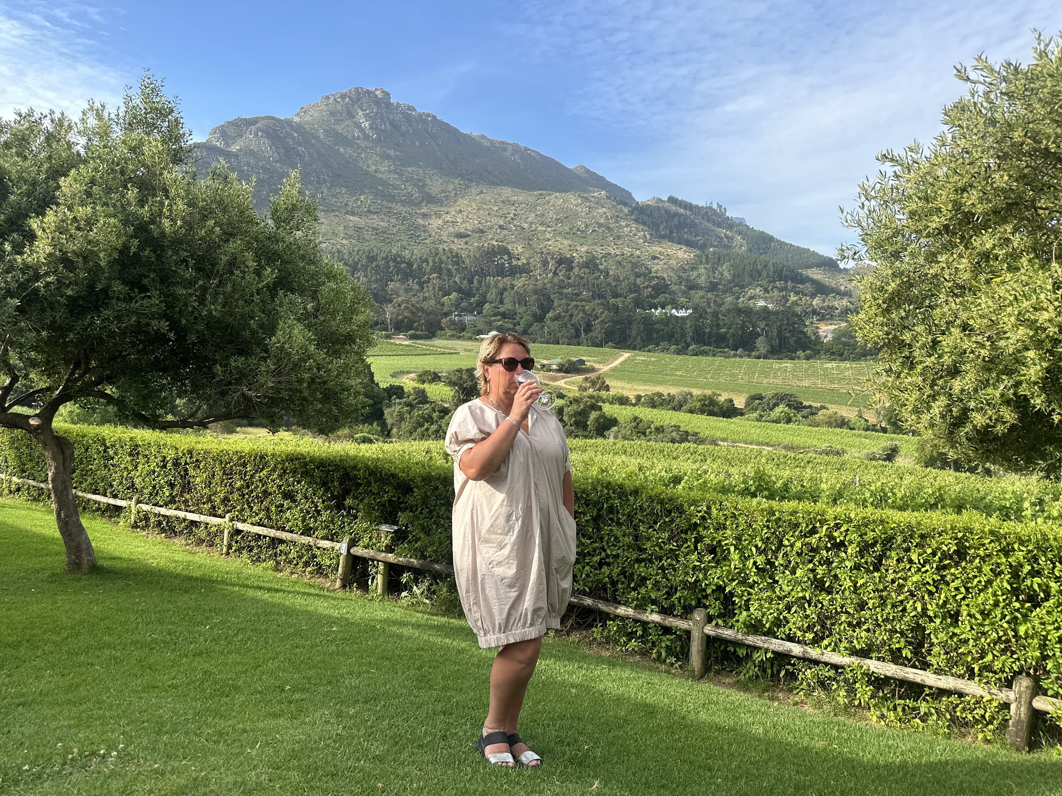 Юар-Большое Путешествие: пингвины, сафари и гепарды, вертолеты и вино (14/23)