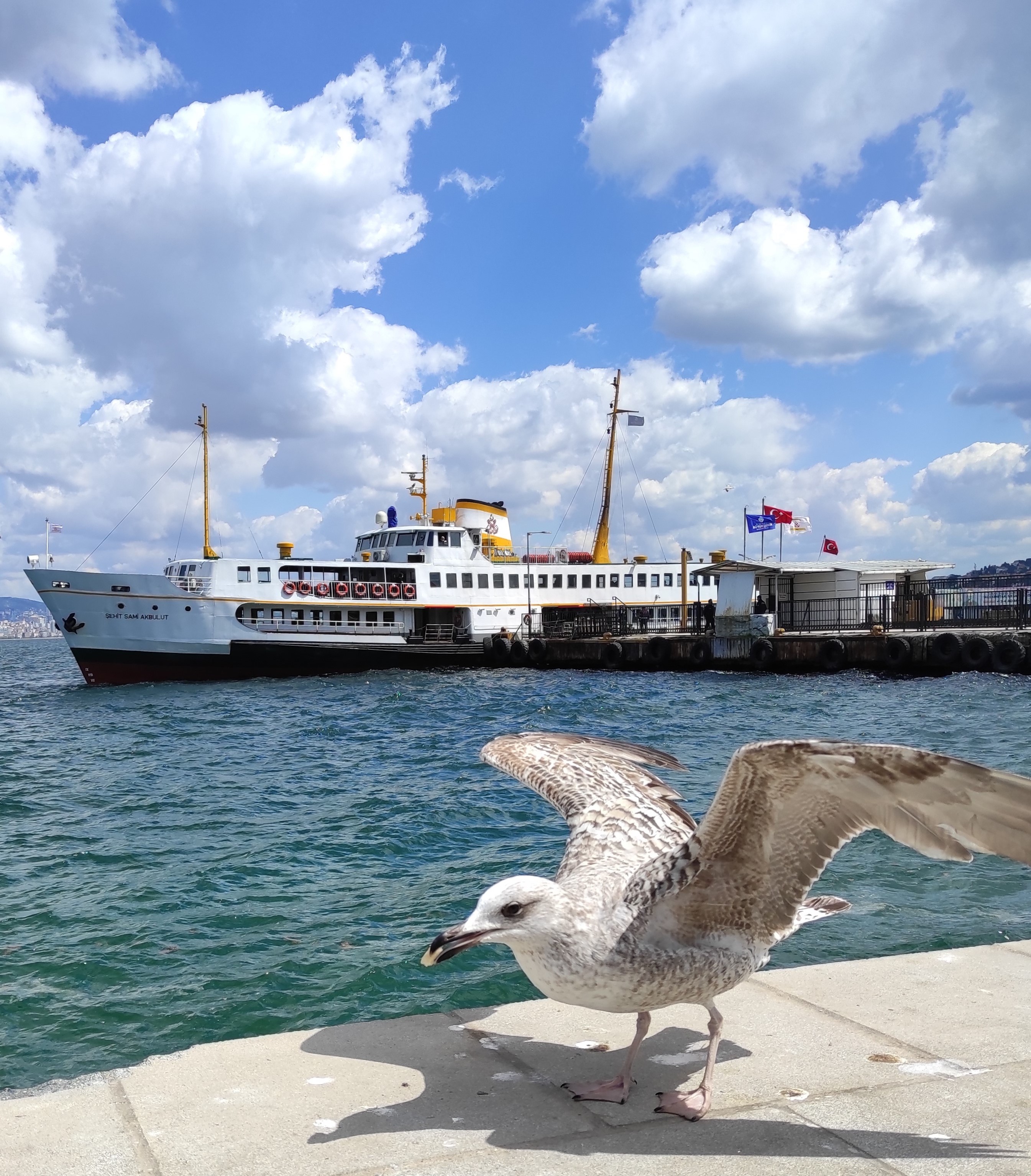 Восточная Сказка Турции Стамбул, Шанлыурфа, Мардин, Мидьят (49/60)