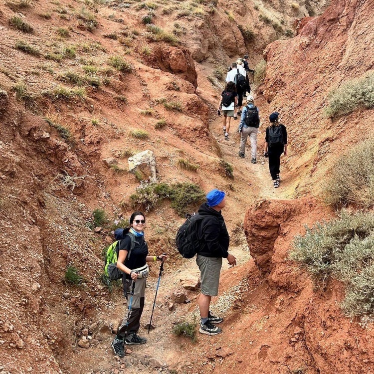 Доступный Алтай за 4 дня (комфорт, в мини-группе) (9/13)